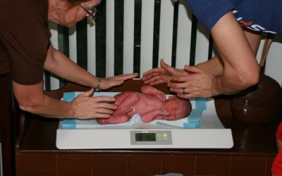 Home Birth Consultations